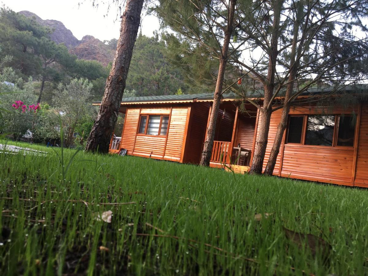 Seker Bungalov Apartment ชิลารึ ภายนอก รูปภาพ