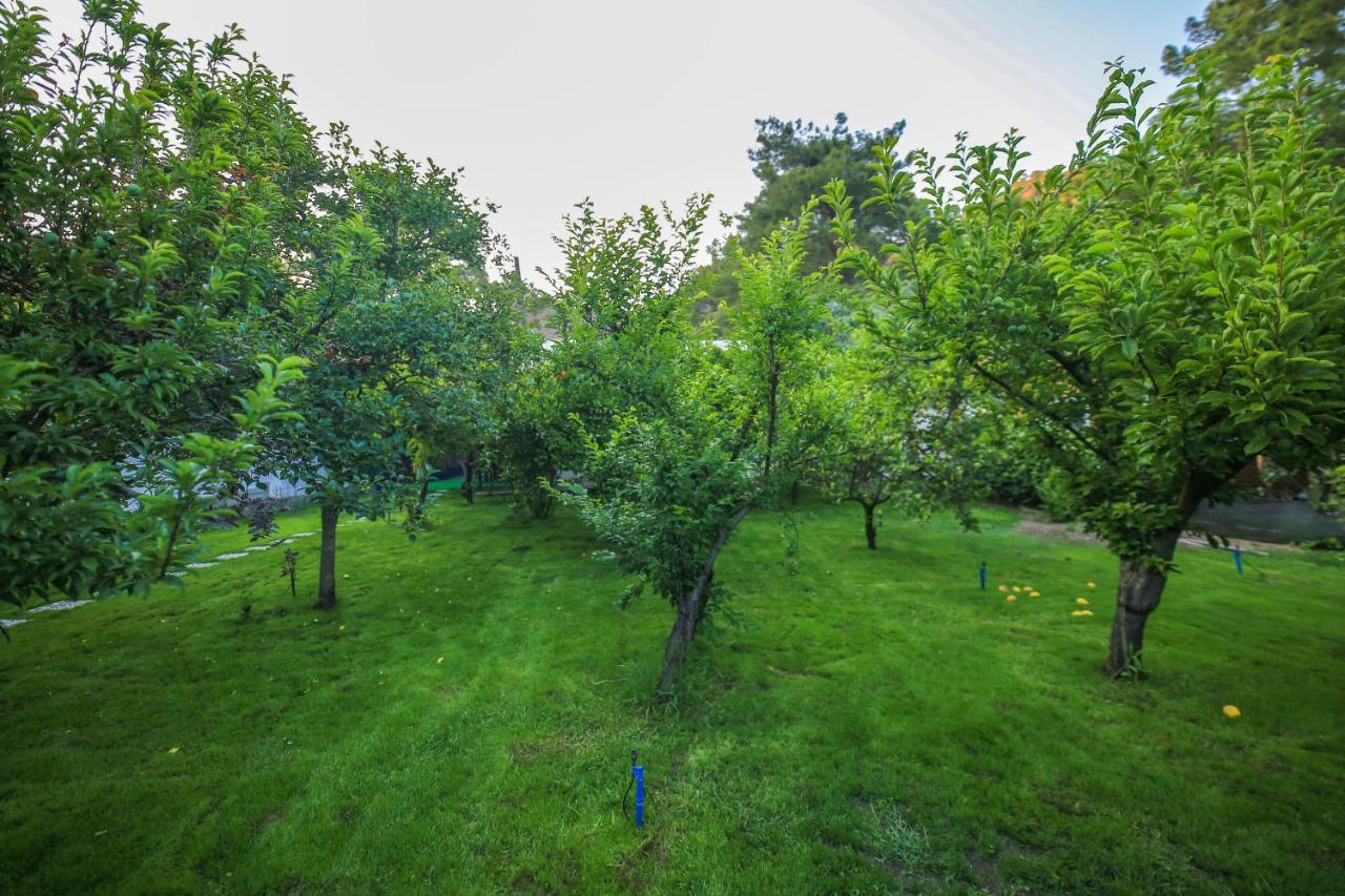 Seker Bungalov Apartment ชิลารึ ภายนอก รูปภาพ